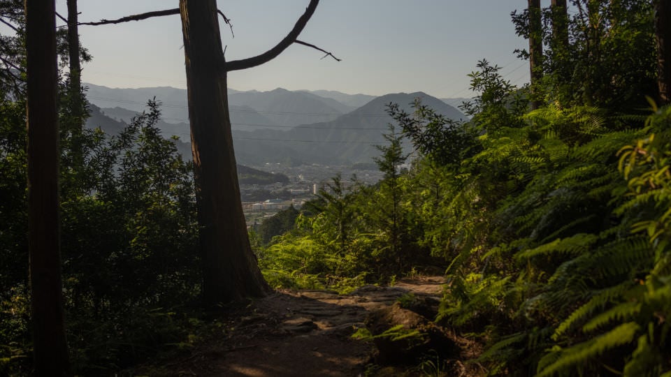 View on the blue thermos on the wooden table on the trekking trail