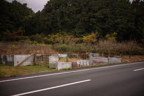 Ramshackle garden on the side of the highway with the word farm spraypainted on lending a delightfully apocolytic air to the scene.