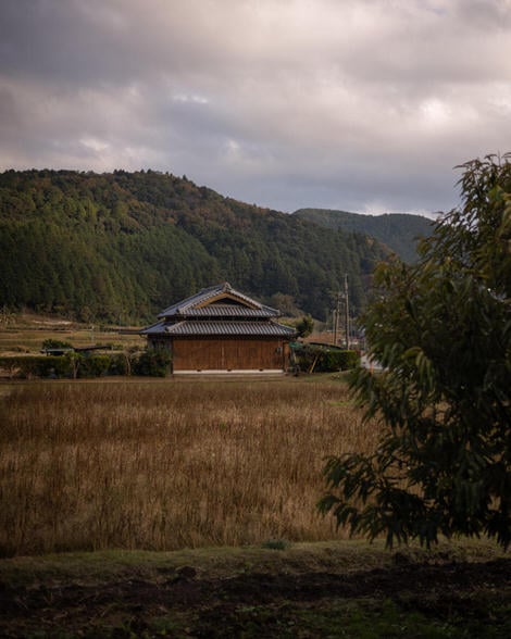 Boarded up farmhouse inthe distance, beyond a possibly neglected rice field.