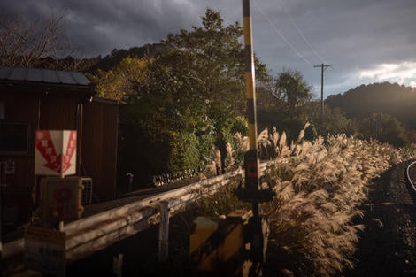 Just before twilight, glancing late-winter sun lighting up a railroad crossing.