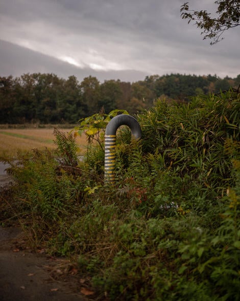 A striped pipe poking out of the bushes on a path just off the main Ise-ji route, farmland peeking through in the background.