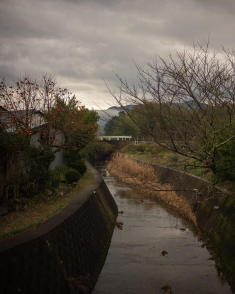 A river with winterbare trees along the Ise-ji