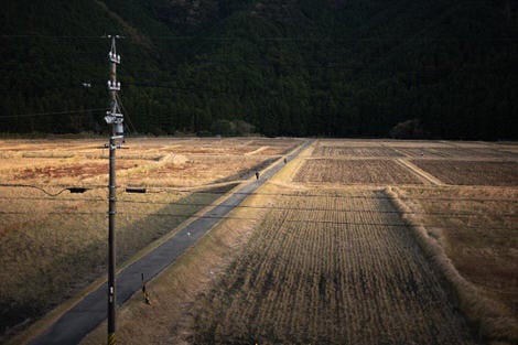 Two figures walking through a rice field, photographed from an elevated road, the walkways of the fields lit golden by early morning sun.