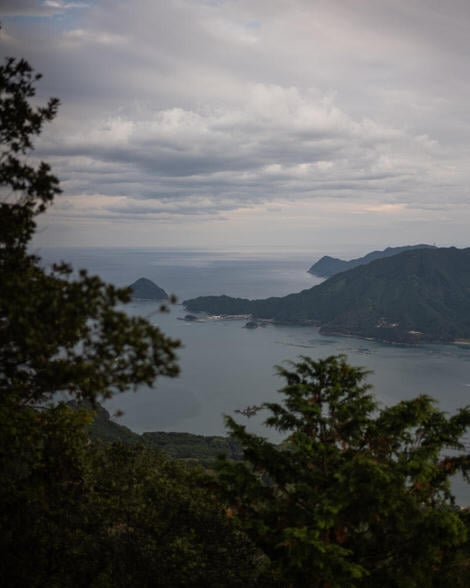 Looking out into the cove into which Owase is tucked, foliage inthe foreground, ocean and some small island in the background.
