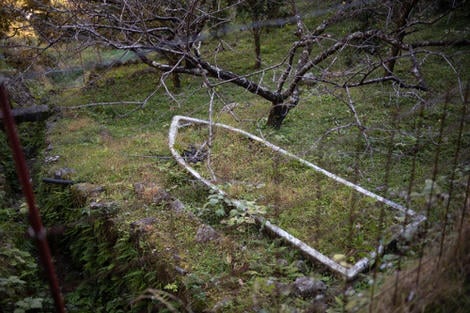 A small single-person boat (perhaps fishing?) that has been eaten by the earth, sitting in what looks to be a garden, only the very top of it still visible, soon to be totally submerged in greenery, grass and dirt.