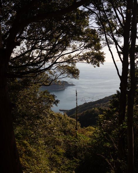 Looking down from Miki Tōge into the cove just after Mikisato Village.