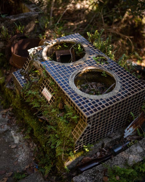 An old stove covered in moss and ferns being subsumed by nature as it looks to have been abandoned decades ago; tiled, space for two big pots for cooking rice, wood burning.