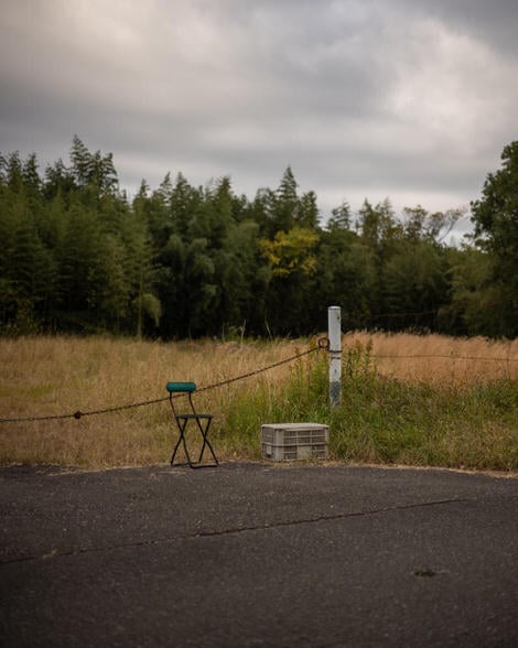 Background: An unkempt lot, waist high weeds. Foreground: Concrete road. Mid-frame: Folding chair, plastic crate, chain separating the road and the lot. 