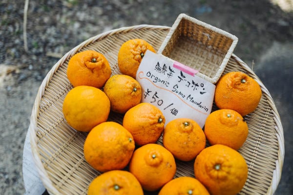 Organic oranges for sale