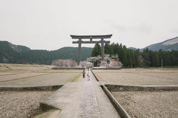 The Hongu Taisha torii gates