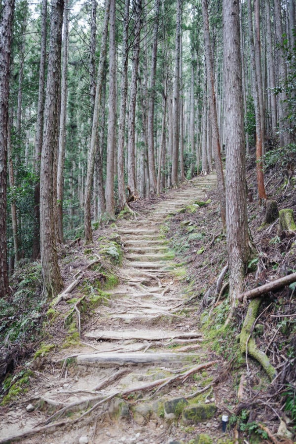 The beautiful steps over Dainichigoe on the way to Yunomine Onsen