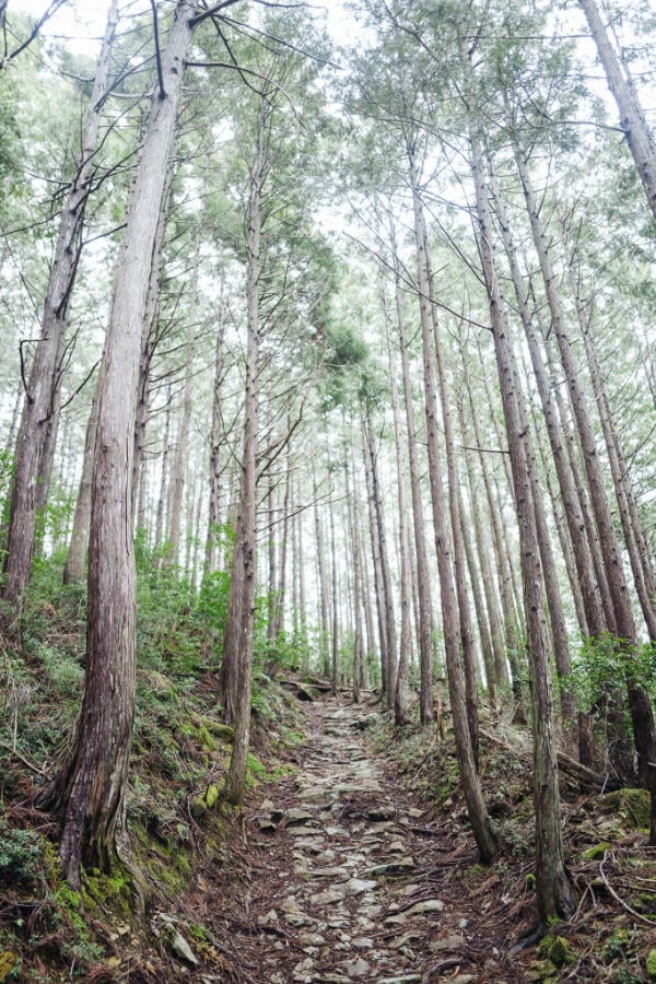 Stone path along Kumano Kodo on the way to Omata