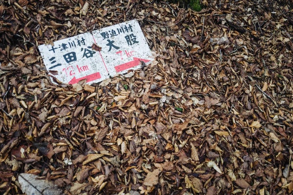 A sign along Kumano Kodo in the leaves